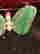 item-128431530=5