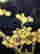 item-128431605=2