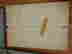 item-128431969=8