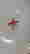 item-128431979=7