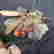 item-128432028=3