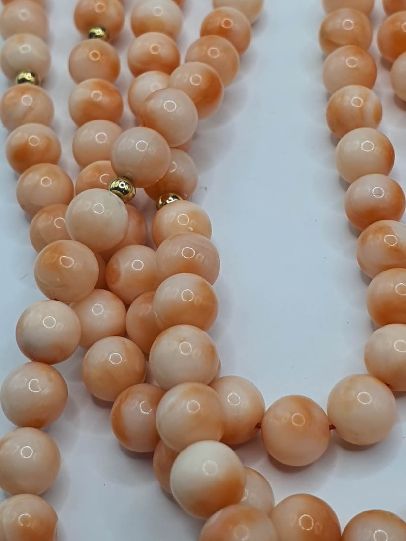 Beautiful coral Necklace: Beautiful coral Necklace