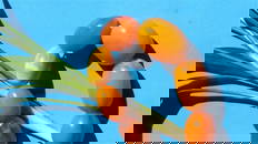 Natural Beautiful Amber Necklace