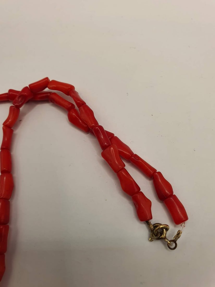 Bone Necklace - 2