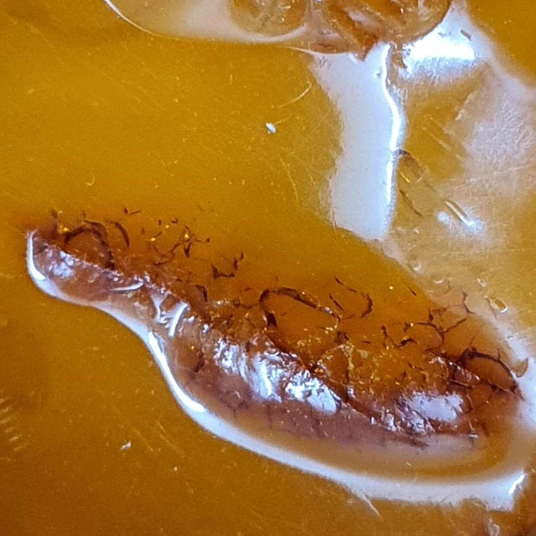 natural amber;天然鸡油黄蜜蜡 - 11