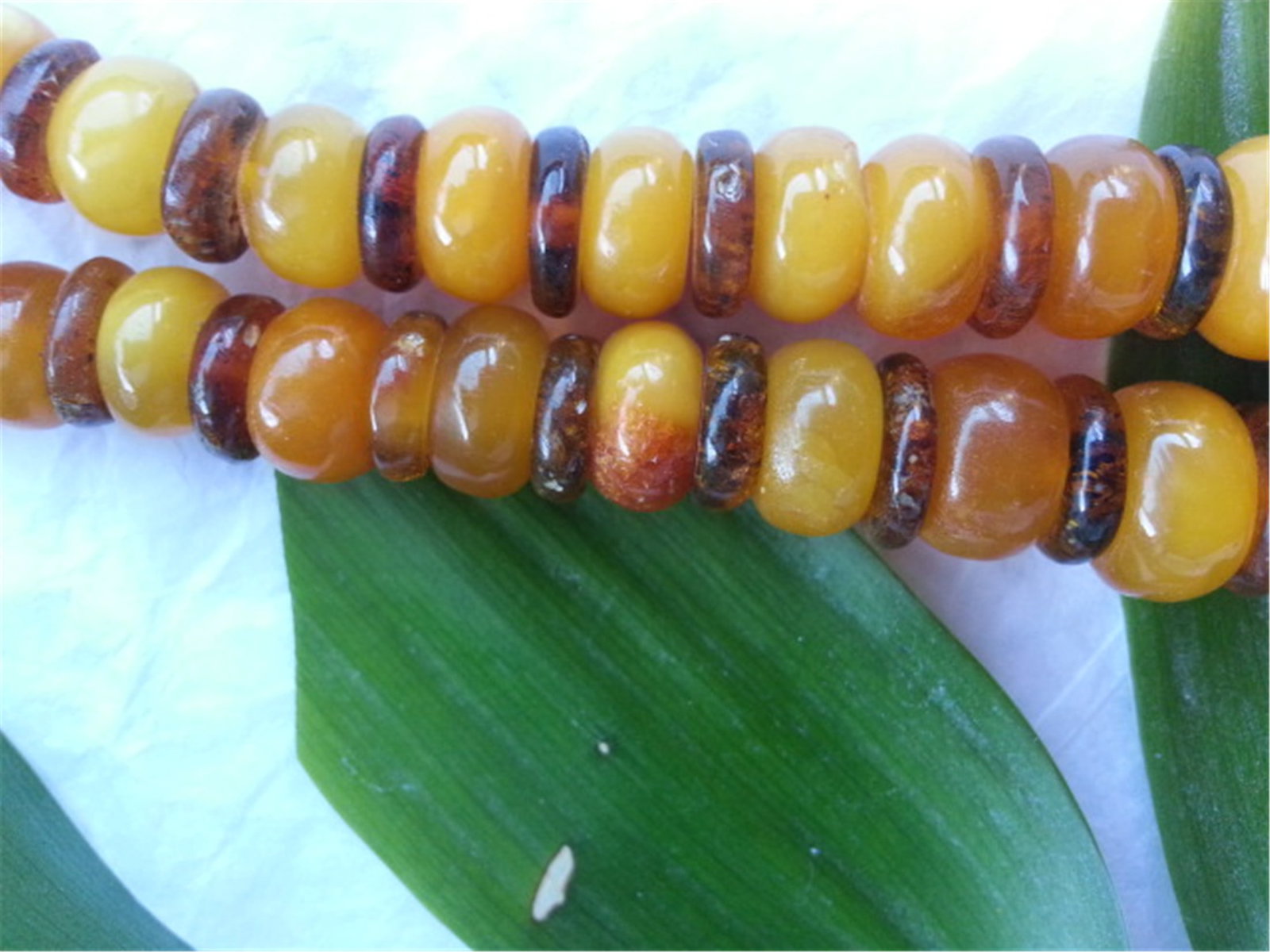 BUTTERSCOTCH AMBER NECKLACE 33.3g - 2