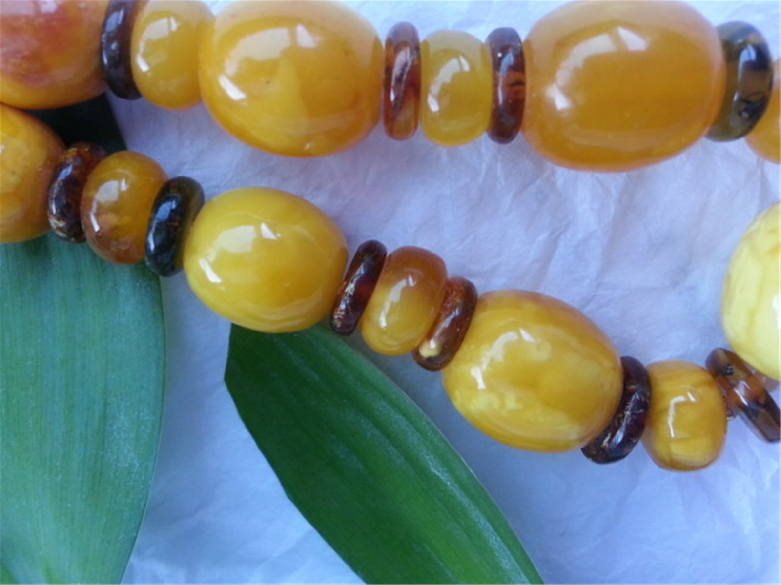 BUTTERSCOTCH AMBER NECKLACE 33.3g - 4