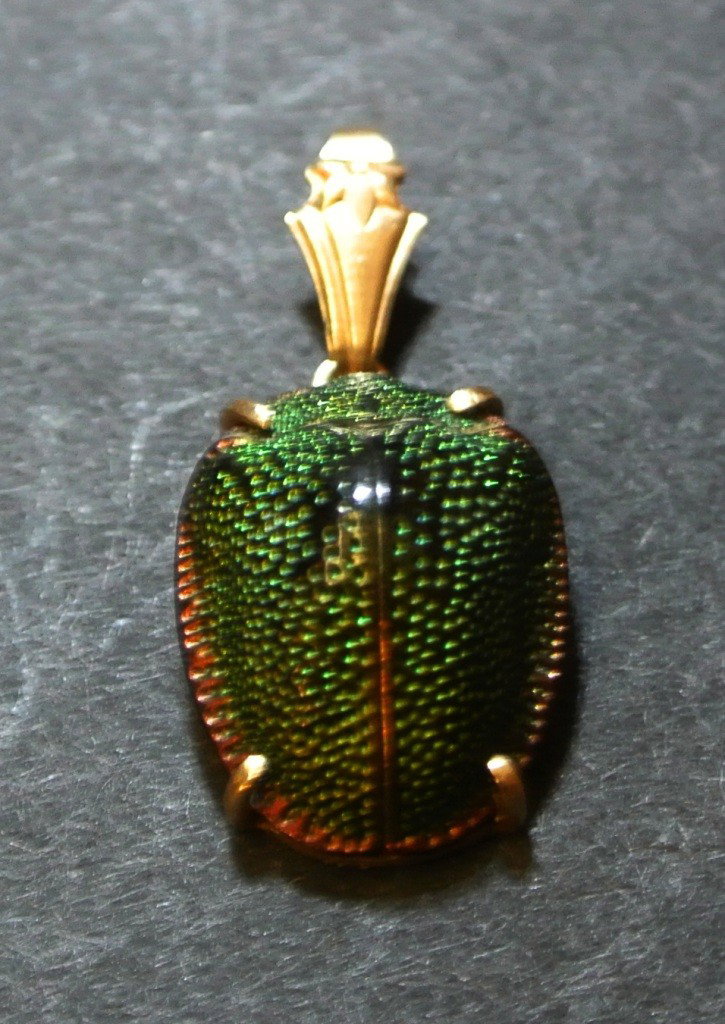 Real Egyptian Scarab Beetle Pin in 14k Gold: Beautifully preserved actual scarab pin (Sacred beetle of Egypt) set in a 14k gold pendant. The beetle is in the Scarabaeus saucer family. Overall length is approx. 1/2". Comes with a letter from the 
