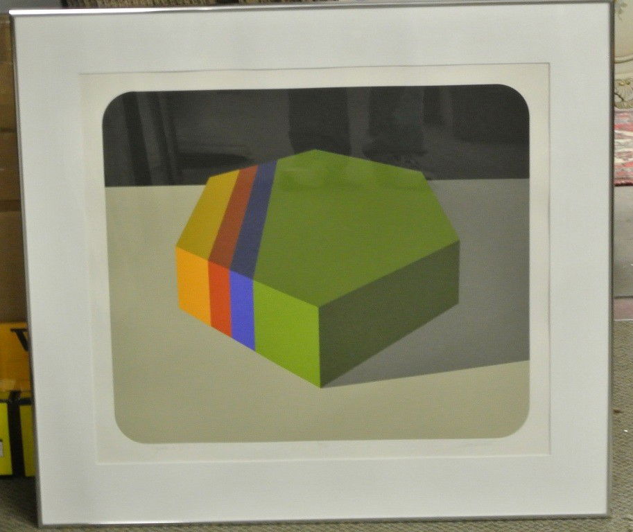 Marko Spalatin Hydroid VI Silkscreen 33/70: Signed, numbered in pencil, framed. 1981 silkscreen titled Hydroid VII Image size is 19x23"