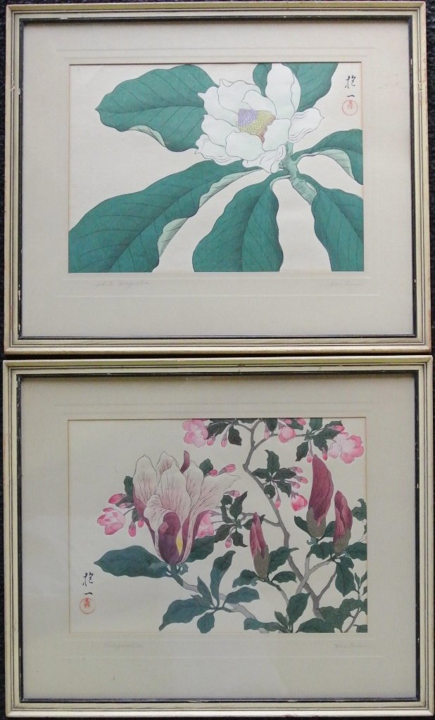 Pair of Japanese Pen/Watercolor Florals: Nice pair of very nicely done pen and watercolor paintings signe by Haitsu. As viewed, 9x12", matted and framed larger. One titled "Magnolia" the other "White magnolia"