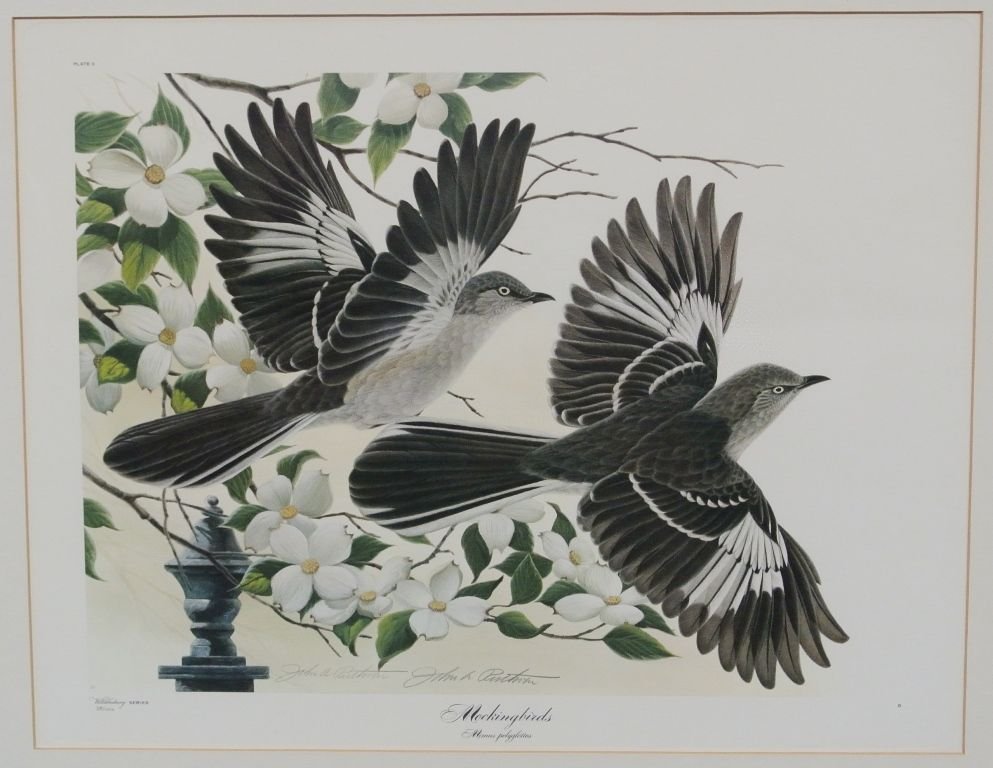 John Ruthven Mockingbirds Offest Lithograph Signed: Frame 23x19, image 16x12, Williamsburg Series LE 38/1000. Lovely lithograph of Mockingbirds in flight. Suggested bid $200