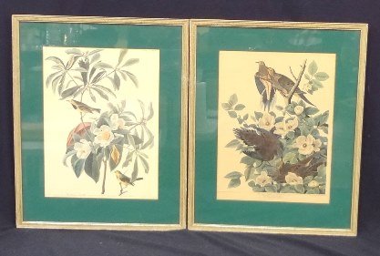 (2) A.J. Audubon Prints: "Bachman's Warbler" and (1 of 10)