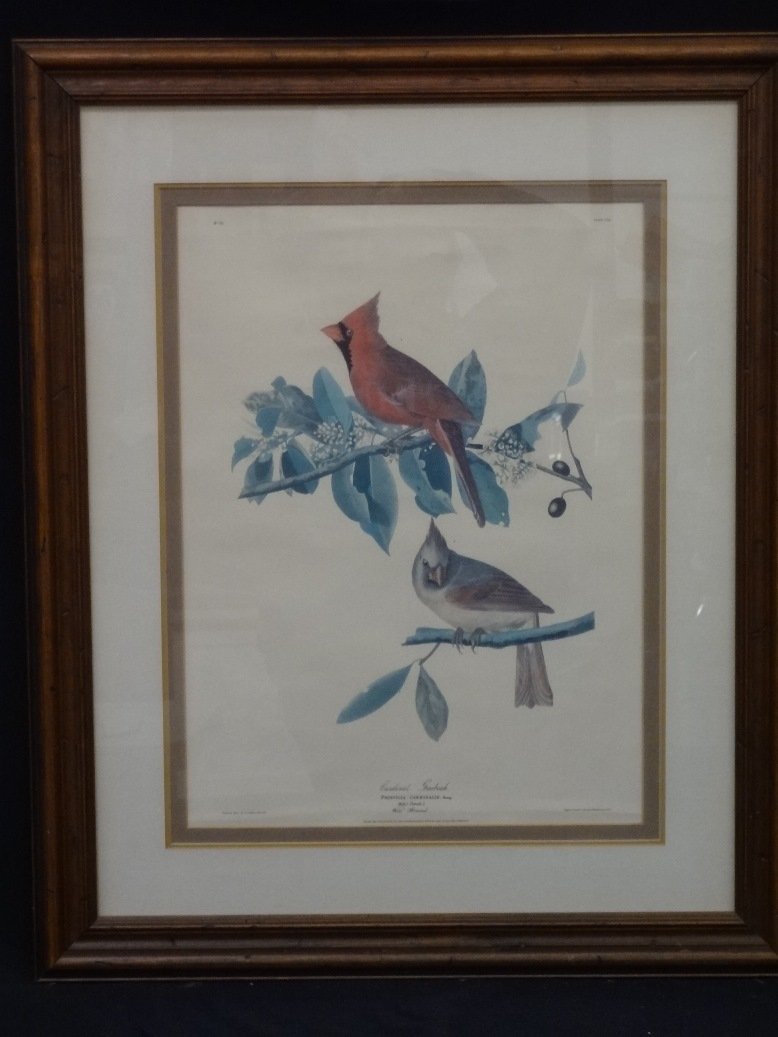 J.J. Audubon Cardinal and Grosbeak Plate CLIX Engraving (1 of 6)
