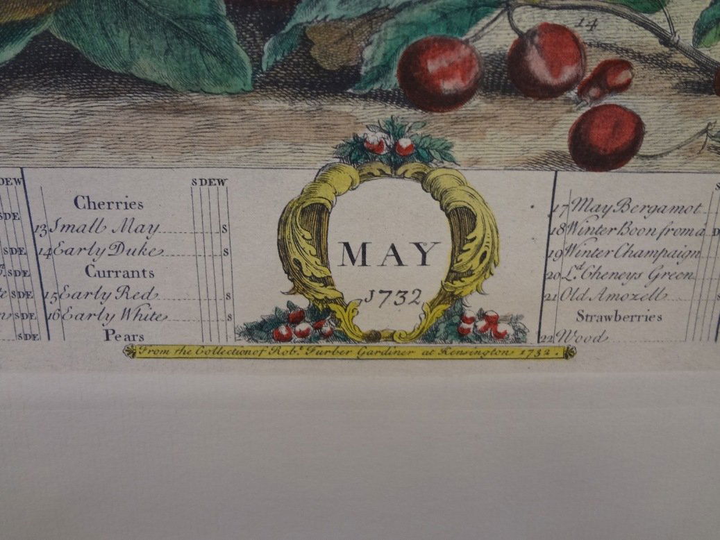 Robert Furber Fruit Prints April and May Colonial (1 of 7)