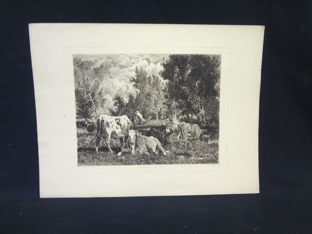Original Etching "Landscape and Cattle" Peter Moran: Original Etching "Landscape and Cattle" Peter Moran from Van Marcke Painting: Stunning original etching from the late 1800's. An engraving by Peter Moran from an original painting by the famous artist