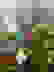 item-43947815=2