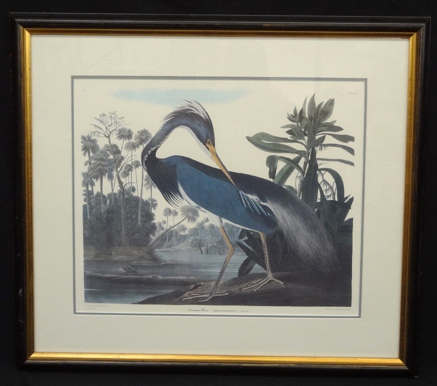 Louisiana Heron J. J. Audubon Print Limited Edition (1 of 5)