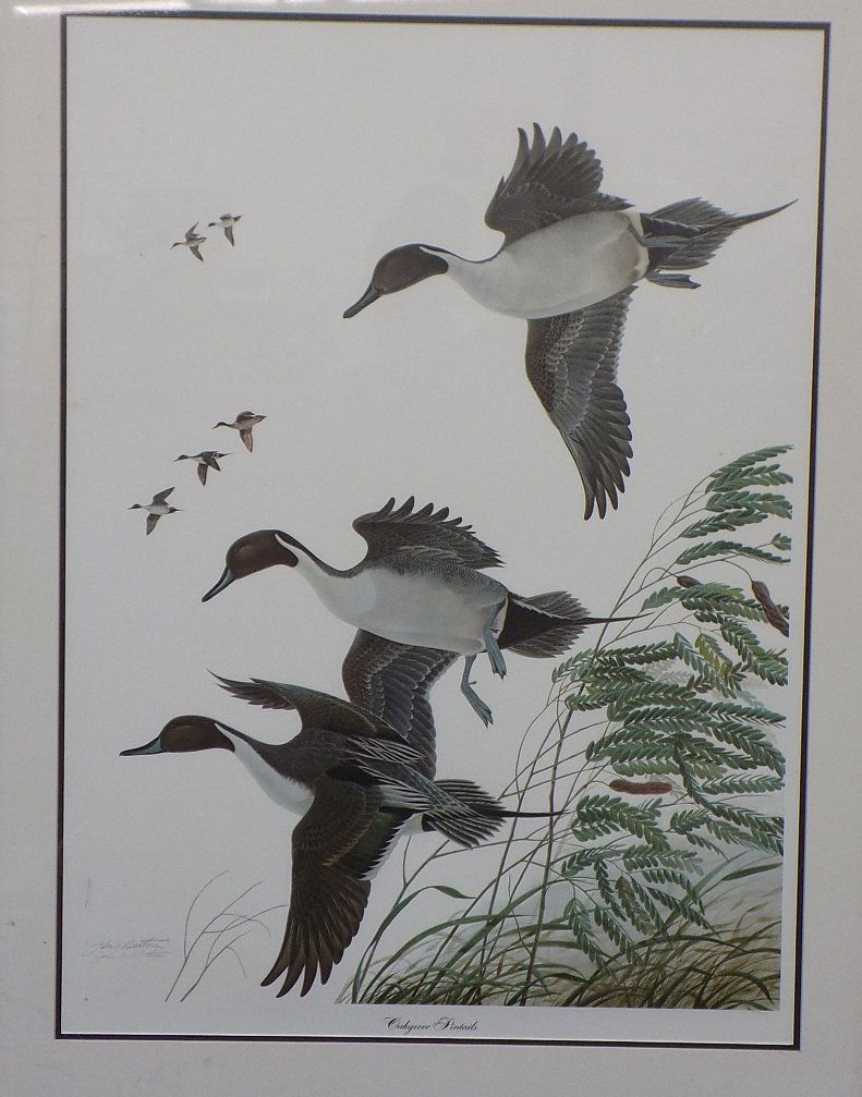 Oakgrove Pintails by John Ruthven Duck Print signed and: Oakgrove Pintails by John Ruthven Duck Print signed and numbered 415/1000 Rough dimensions are 34x44