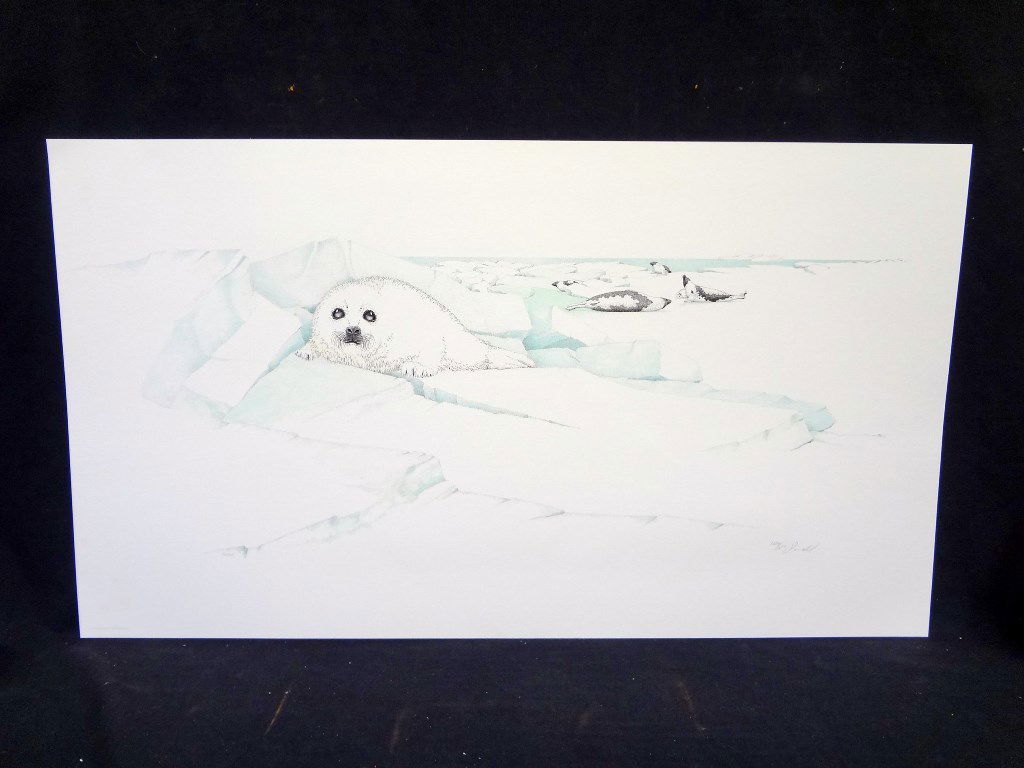 Peter Parnall "Harp Seal" Limited Edition Signed: Peter Parnall "Harp Seal" Limited Edition Signed Lithograph Greenwich Workshop: Numbered 1074/1500, signed by Parnall. Unframed and measures 30 x 17.