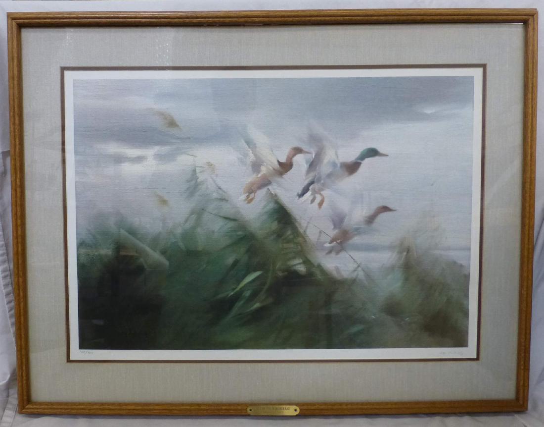Manfred Schatz Duck Print Out of the Marshgrass: Framed size is 35" x 27", hand signed and numbered