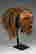 item-124405008=4