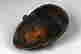 item-124405009=4
