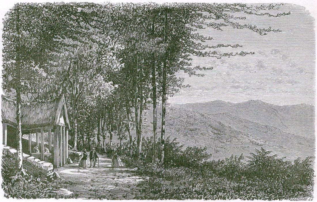 Landscape. France. 1867.: Print of woodcut engraving titled “La nouvelle feuilee du val d’Ajol”. Author H. Clerget. Engraved by Gauchard. From "Le Tour du Monde" published in 1867 Paris. Approx. image size 13, 5 x 8, 5/1