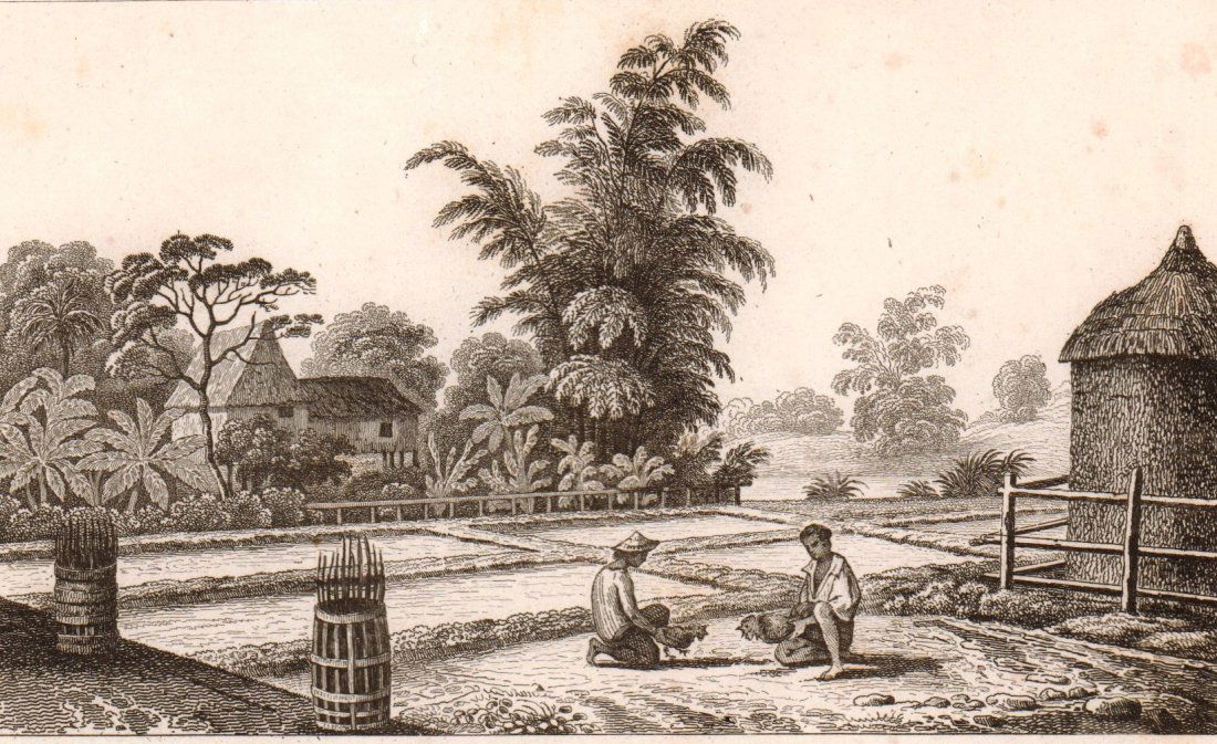 Settlement at Loucon Luzon  Island. Philippines. 1836. (1 of 3)
