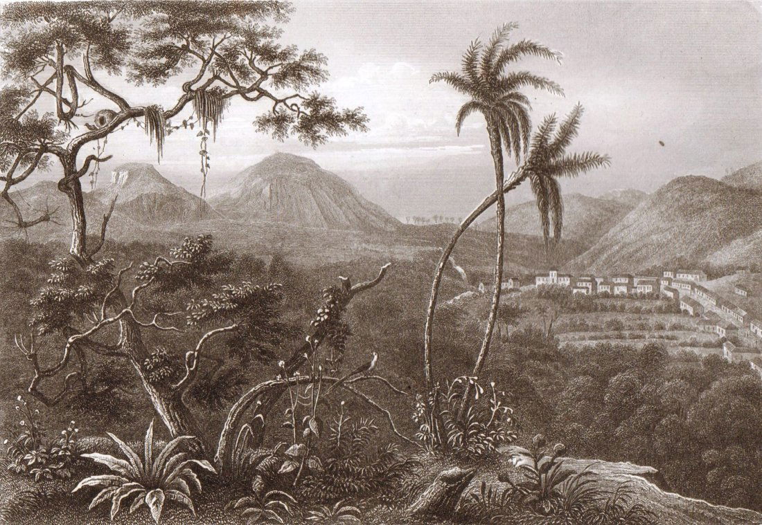 Nova Friburgo. Brazil. South America.  1845. (1 of 3)