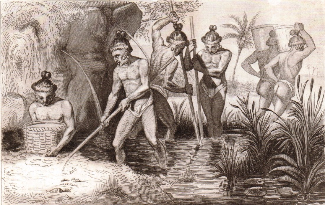 Natives picking up the Gold in Florida. USA. 1844.: Print of steel engraving titled Habitans de la Floride ramassant de L‘or“. Author Demoraine. Engraved by Taillant. From the Histoires D‘Amerique, et D‘ Oceanie. Depuis les temps les plus recul