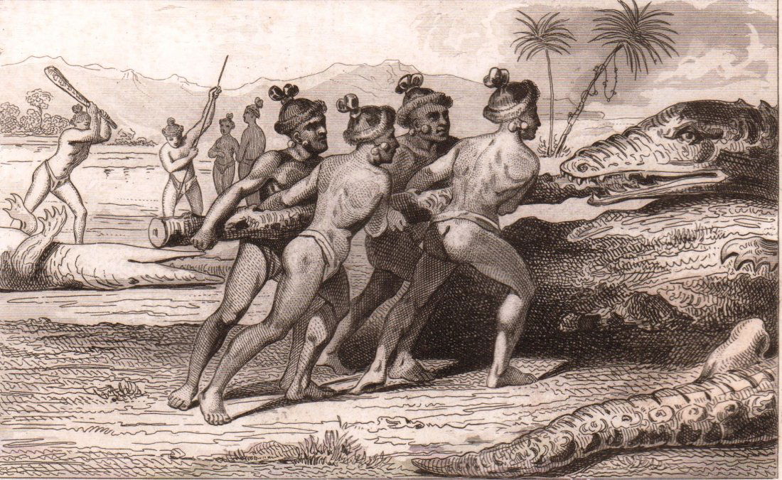Indians killing a crocodile in Florida. USA. 1844. (1 of 3)