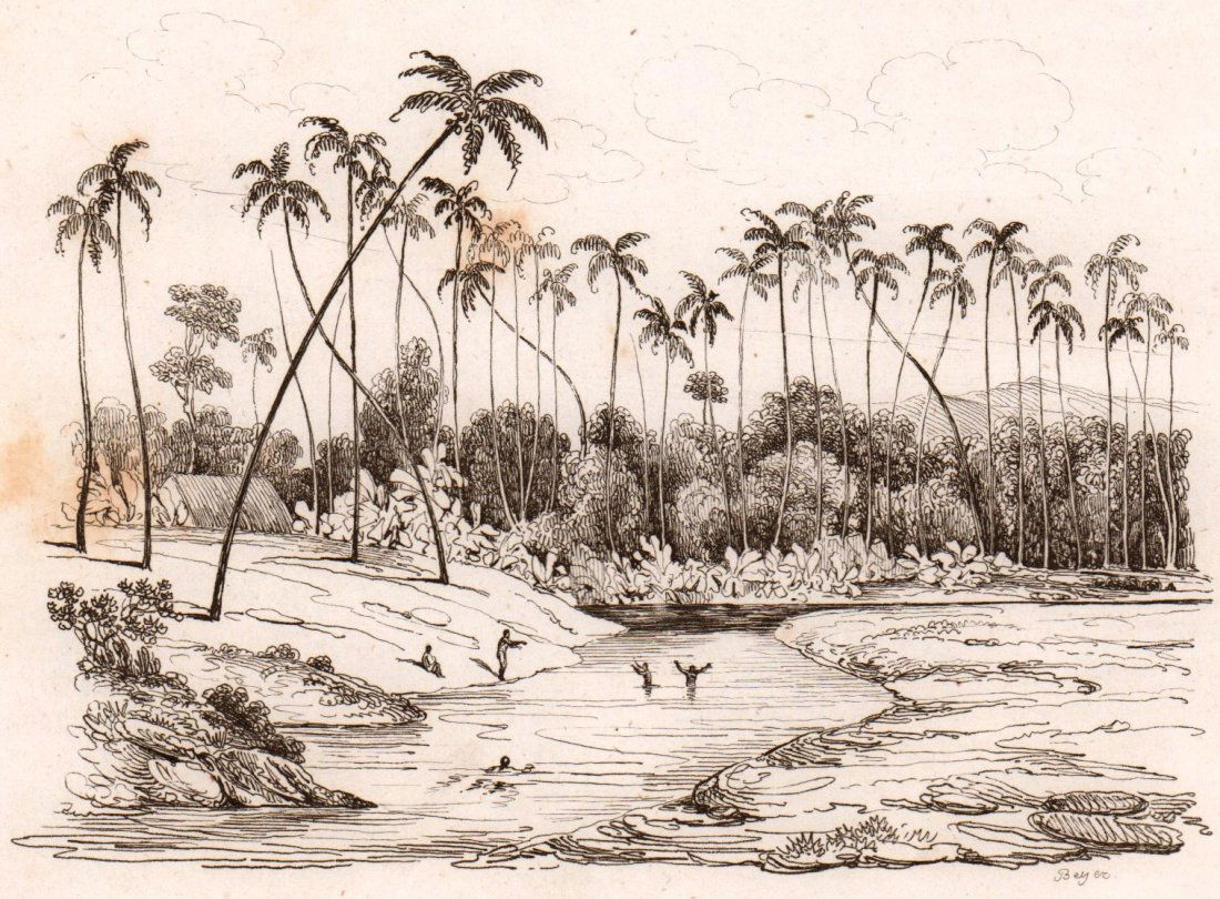 M. Dumont D’Urville. River Wai - Akea. 1834. (1 of 3)