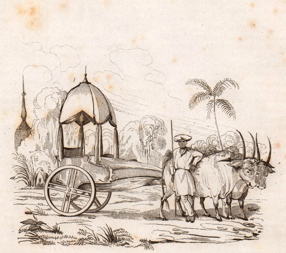 M. Dumont D’Urville. Malabar carriage. 1834. (1 of 3)