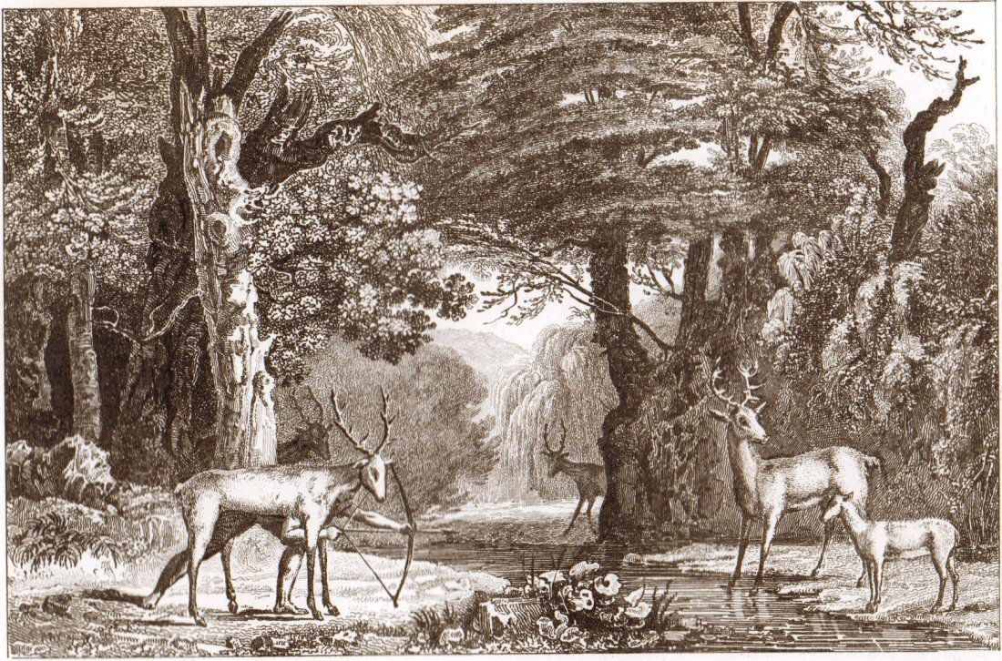 Deer Hunt. Florida. United States. North America. 1839. (1 of 3)