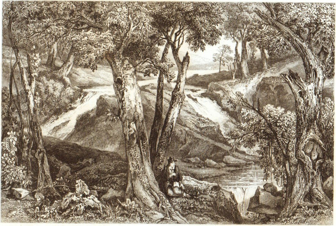 Waterfall near the baths of Schooley. North America. (1 of 3)