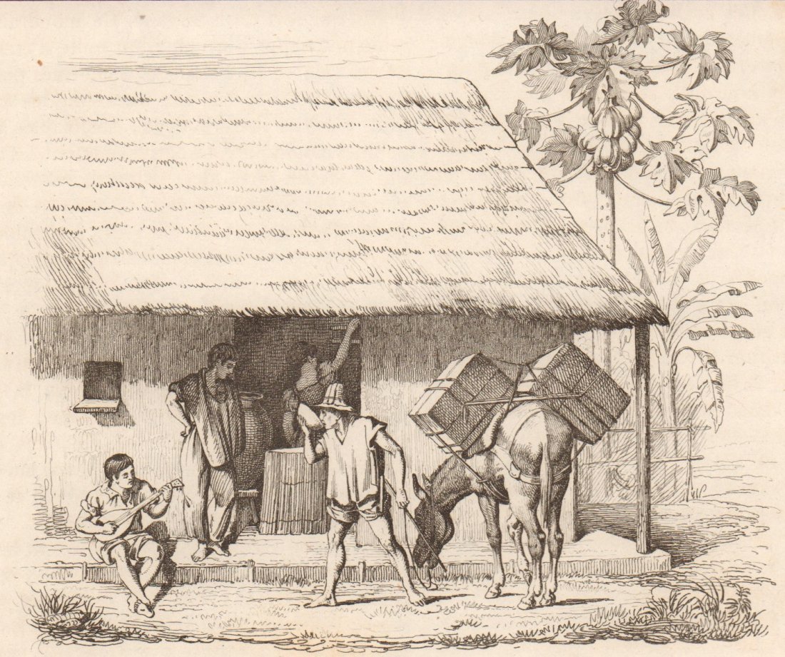 Sale, between Honda and Sergeant. Colombia. 1836.: Print of steel engraving titled „Venta entre Honda y el Sargento“. Drawn by unknown. Engraved by unknown. From „Voyage pittoresque dans les deux Ameriques. Resume general de tous les voyages“ 