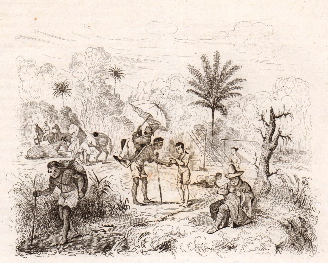Passage of the Quindiu between Ibague and Cartago.: Passage of the Quindiu between Ibague and Cartago. Colombia. 1836. Print of steel engraving titled „Passage du Quindiu entre Ibague y Cartago“. Drawn by unknown. Engraved by unknown. From „Voyag
