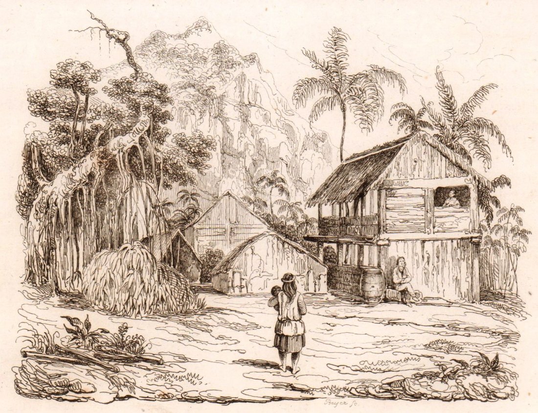 M. Dumont D’Urville. Inner Pitcairn. 1834.: Print of steel engraving titled „Interieur de Pitcairn“. Author Jules Sébastien César Dumont d'Urville. Engraved by unknown. From „Voyage pittoresque Autour du Monde, resume general des voyage