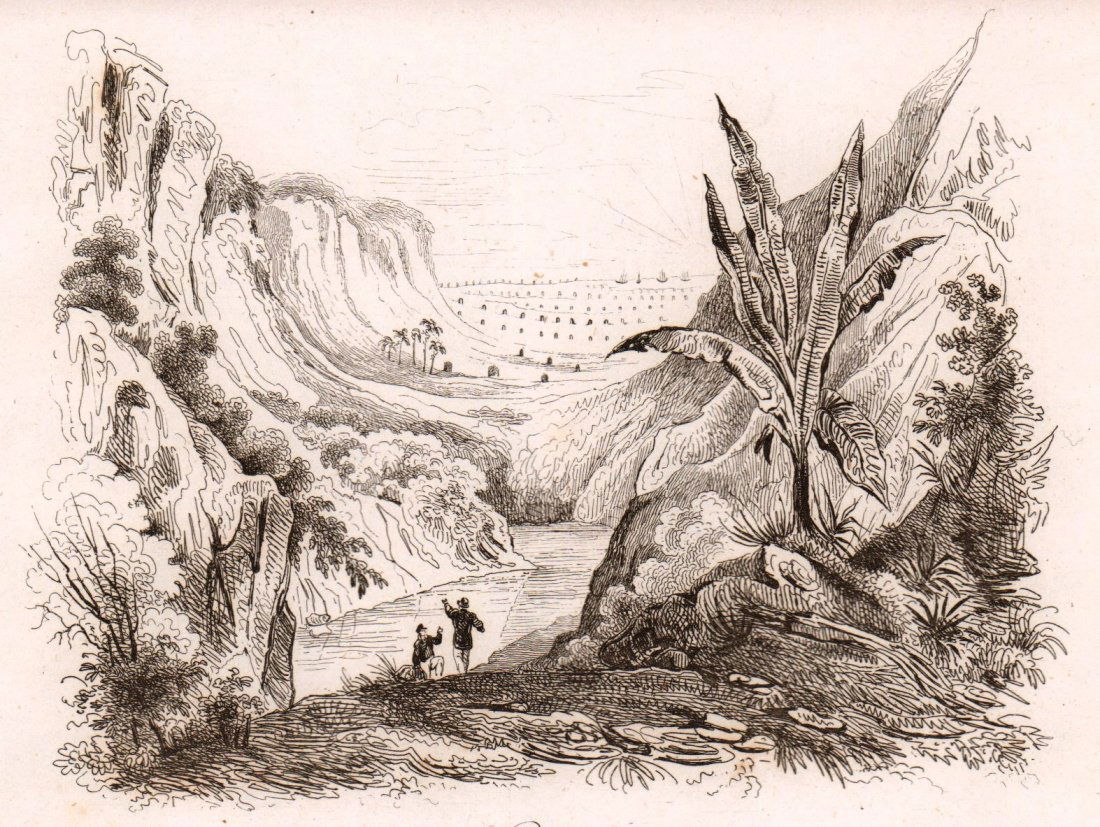Oua Valley. Hawaii. 1835. (1 of 3)