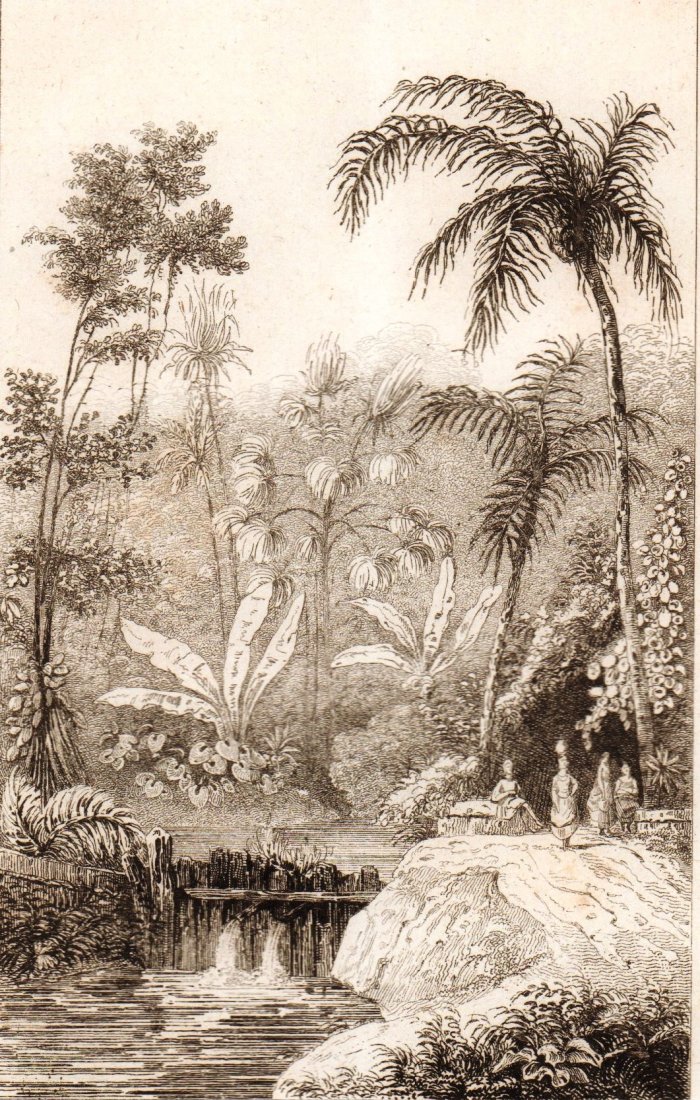 Hot springs of Passo. Celebes island. Indonesia. 1836.: Print of steel engraving titled „Sources chaudes de Passo“. Drawn by Danvin. Engraved by unknown. From „l‘Univers pittoresque histoire et description de tous les peuples. Oceanie ou cinquieme 