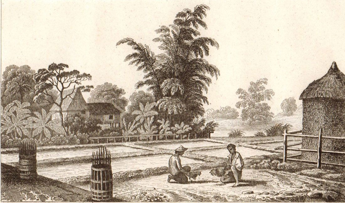 Habitation of Luzon Island. Philippines. 1863. (1 of 3)