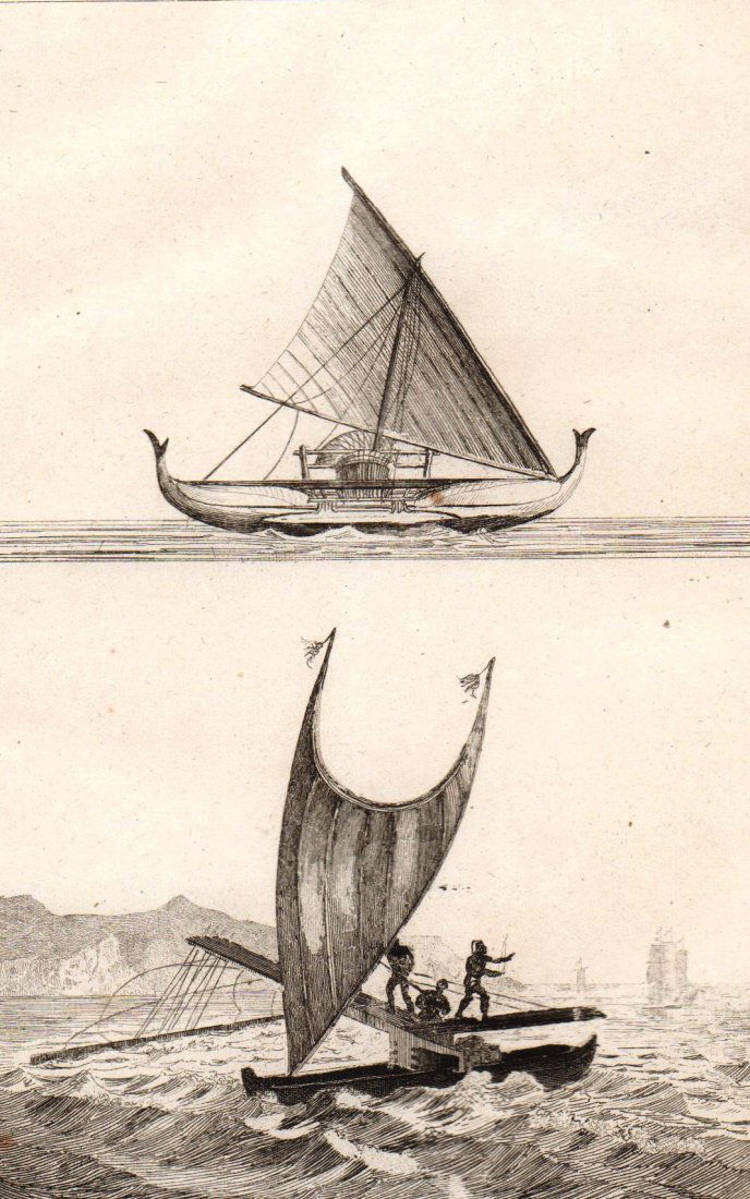 In the ocean. Oceania/Australia. 1863. (1 of 3)