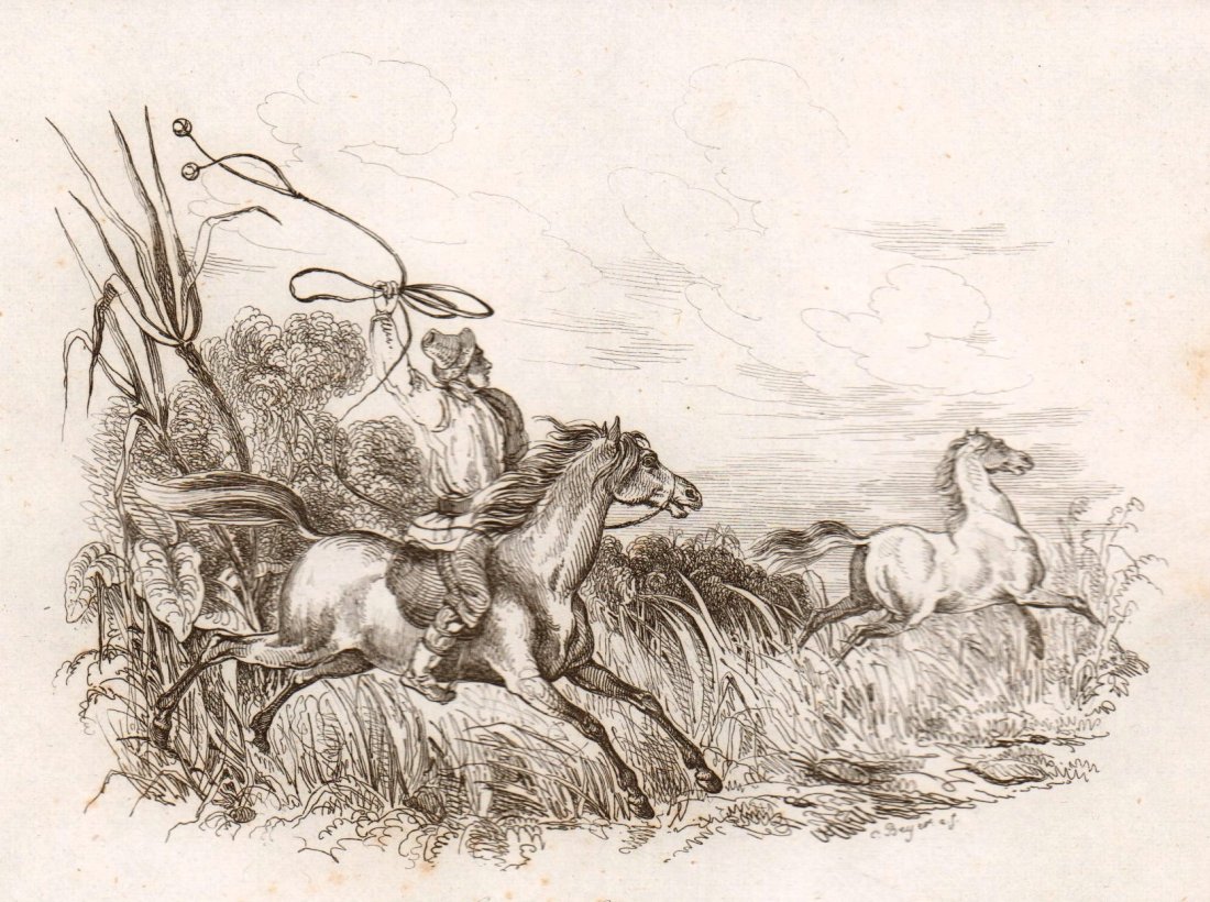 Hunting Wild horse. Patagonia. 1835.: Print of steel engraving titled „Chasse au Cheval sauvage“. Drawn by Sainson. Engraved by unknown. From „Voyage pittoresque autour du monde. Resume general des Voyages de decouvertes“ by M. Du