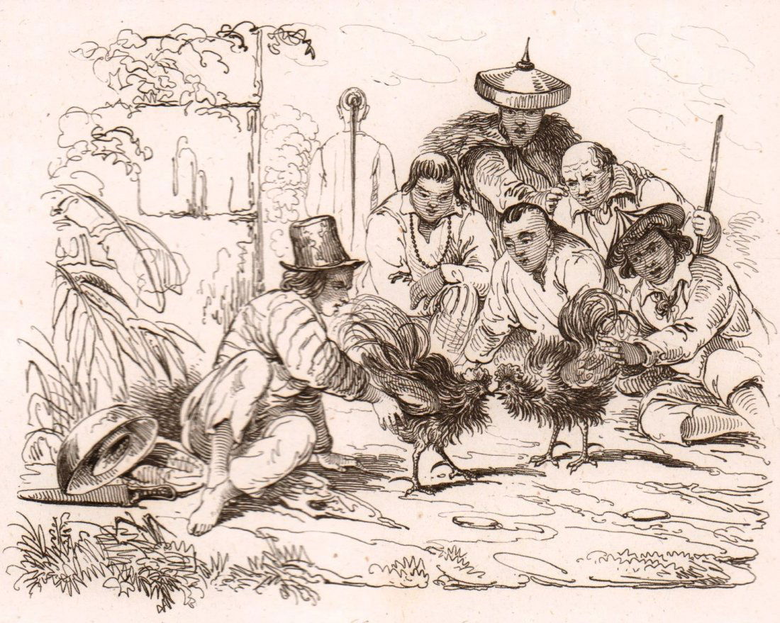 Cockfight. Philippines. 1835. (1 of 3)