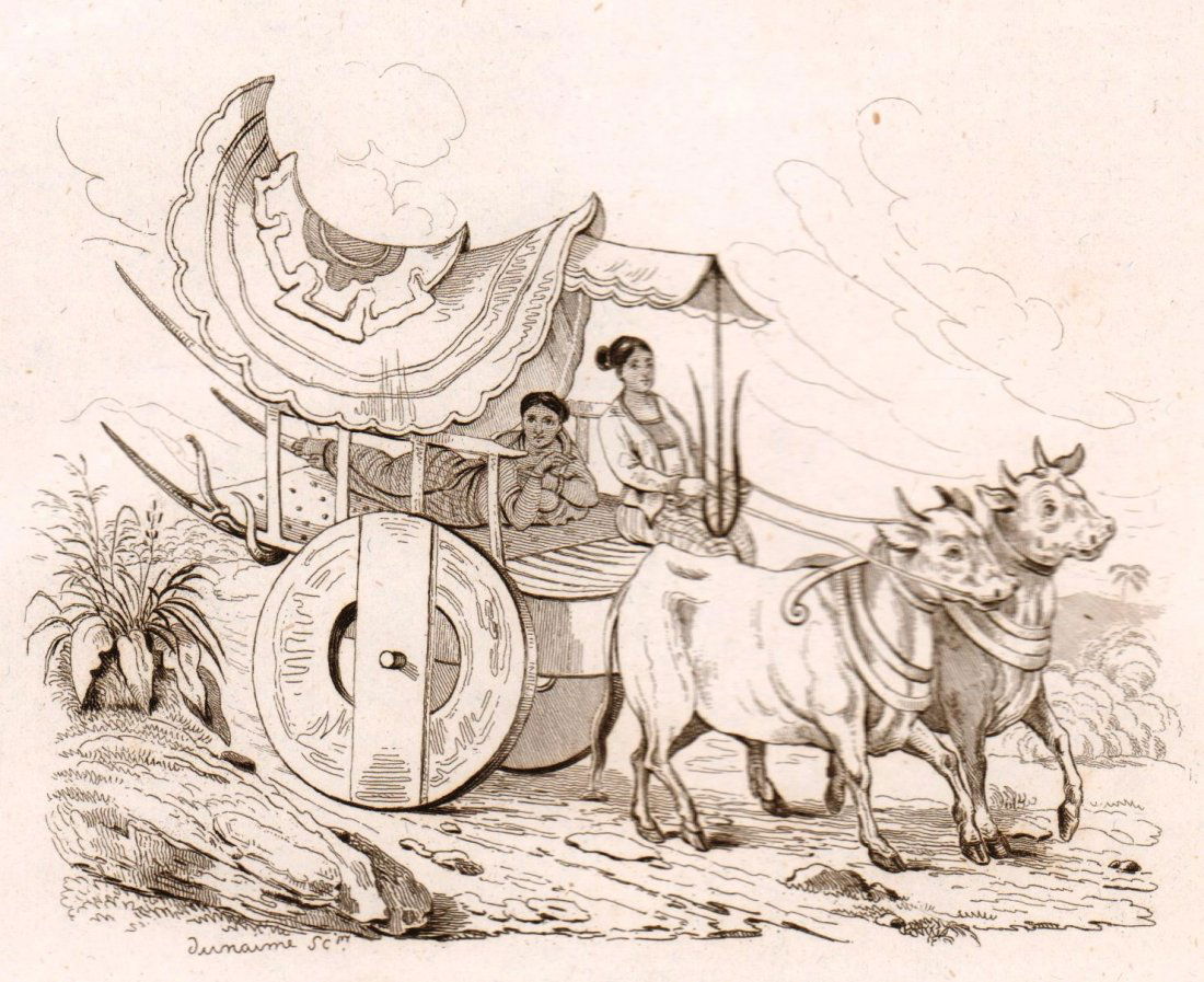 Wife of a senior Burmese. Myanmar. Burma. 1835. (1 of 3)