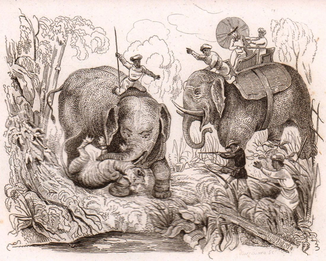 Tiger Hunt. India. 1835. (1 of 3)