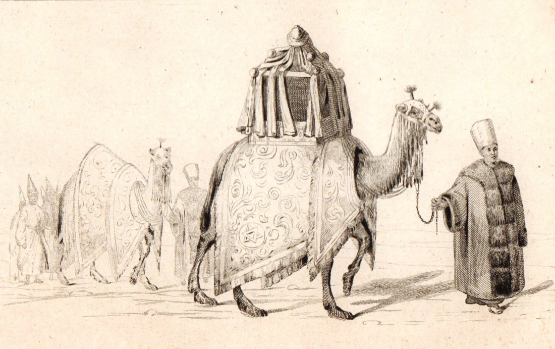 Camel. Arabia. 1847.: Print of steel engraving titled „Chameau sacre et Chameau suppleant“. Drawn by Vernier. Engraved by M. Lesueur. From „L‘Univers. Histoire et description de tous les peuples. Arabie. Par M. Noe