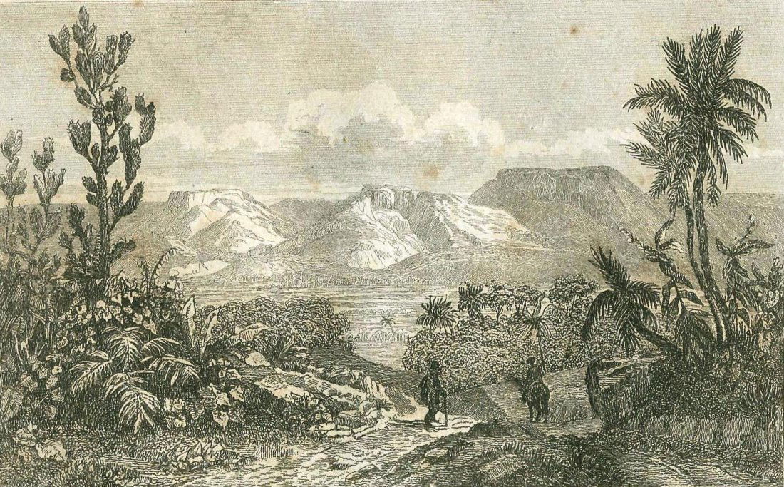 Landscape. Brazil. 1837-1838. (1 of 2)