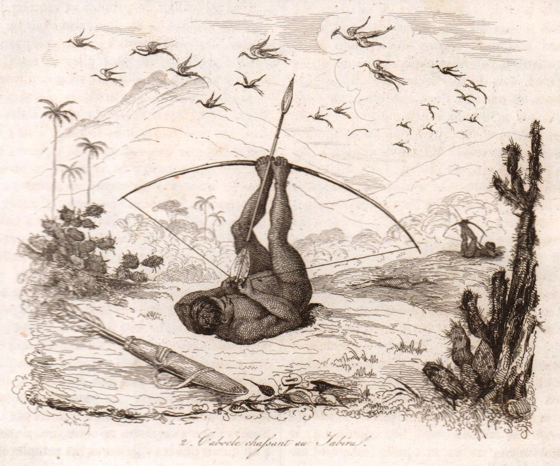 Caboclo chasing the Jabiru. Brazil. 1836. (1 of 3)