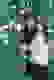 item-51328874=2